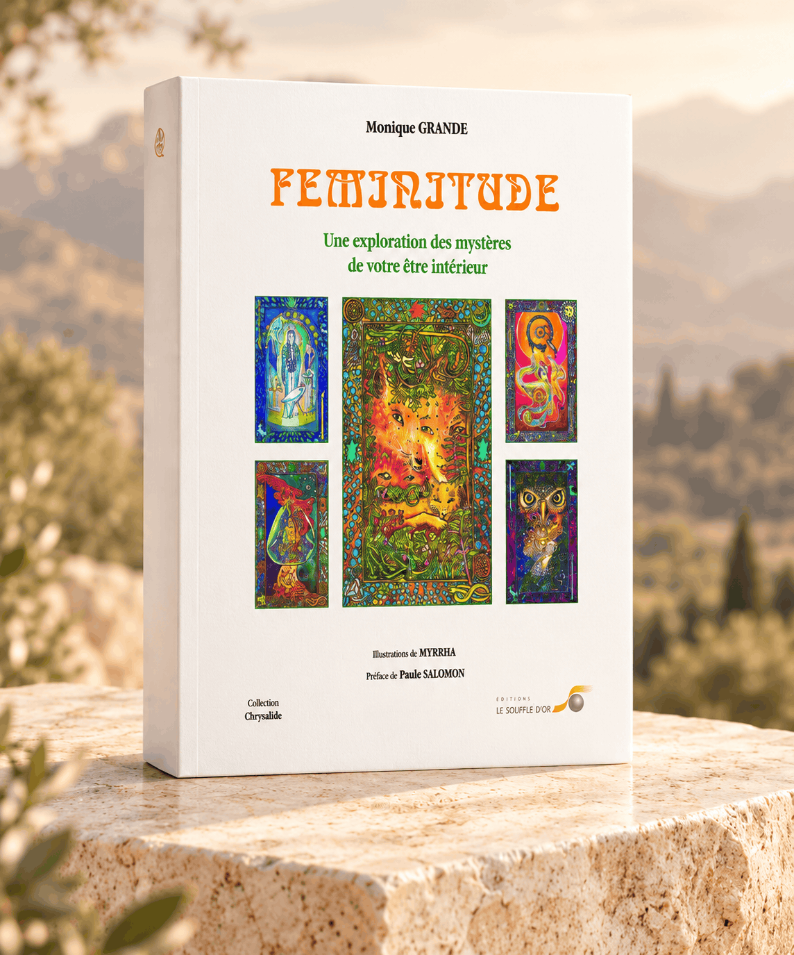 Coffret Féminitude, troisième édition, de Monique Grande